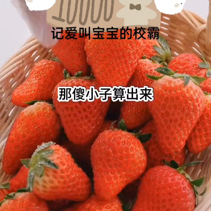 《记爱叫宝宝的枚霸》🌾🍒🦀🌶️