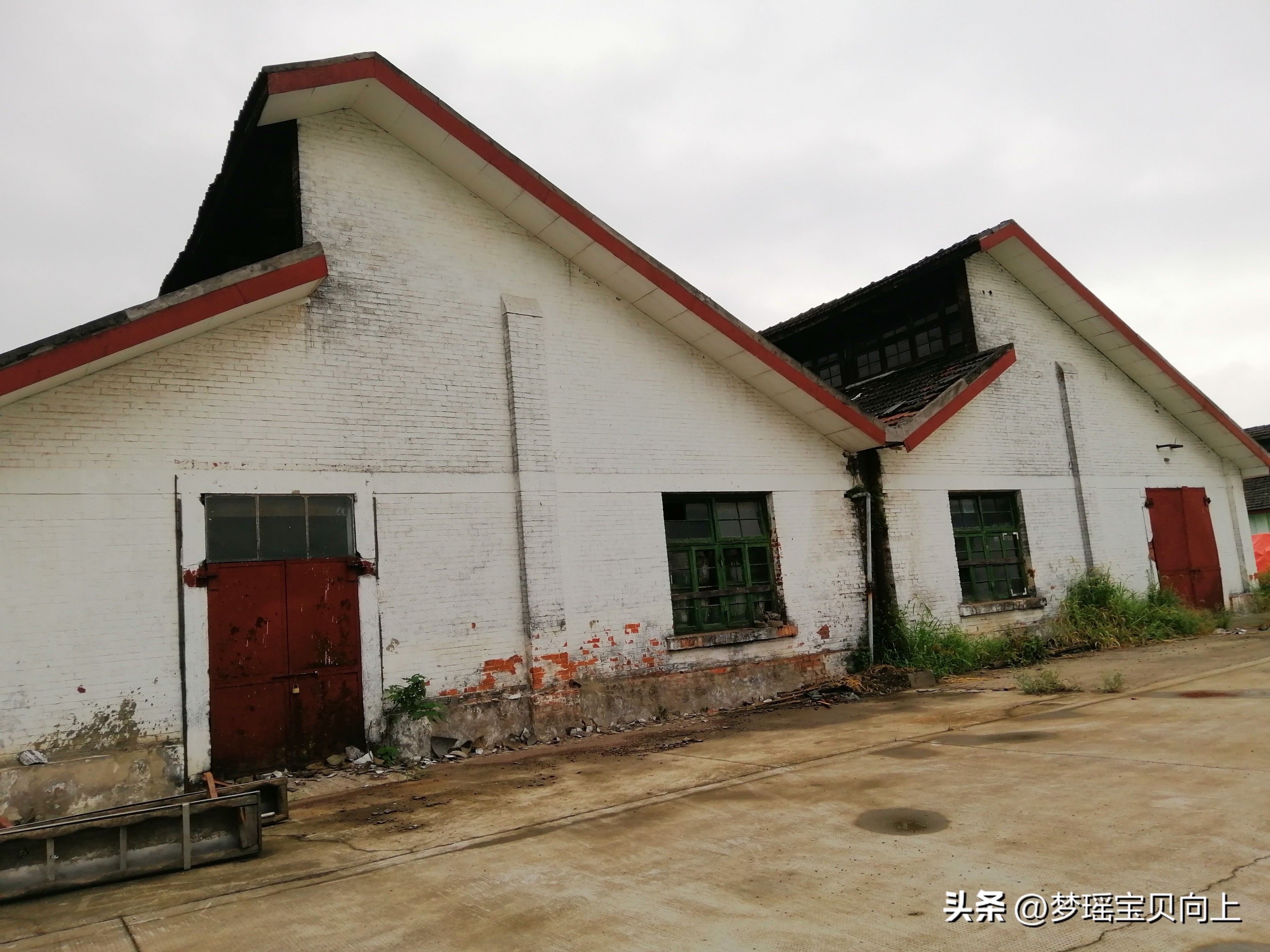 周清黄酒上海,周清品系列黄酒多少钱