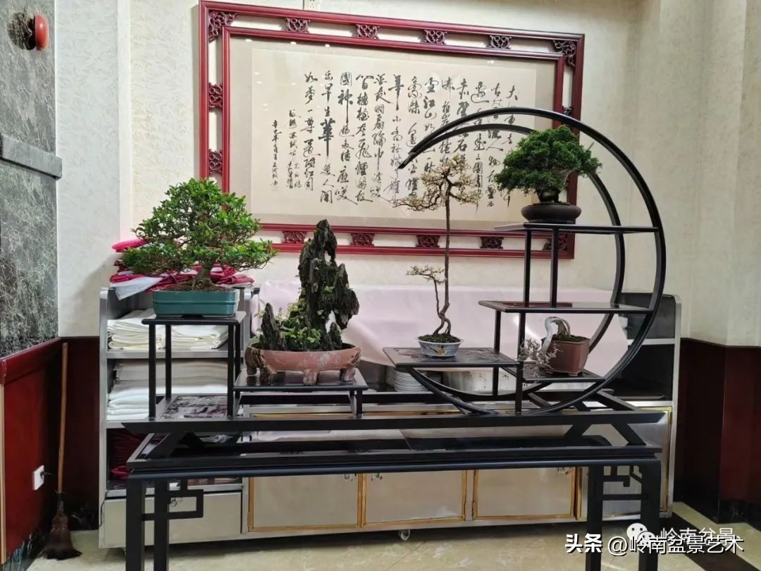 “不忘初心，开拓进取”——中山盆景协会第八届会员活动圆满成功