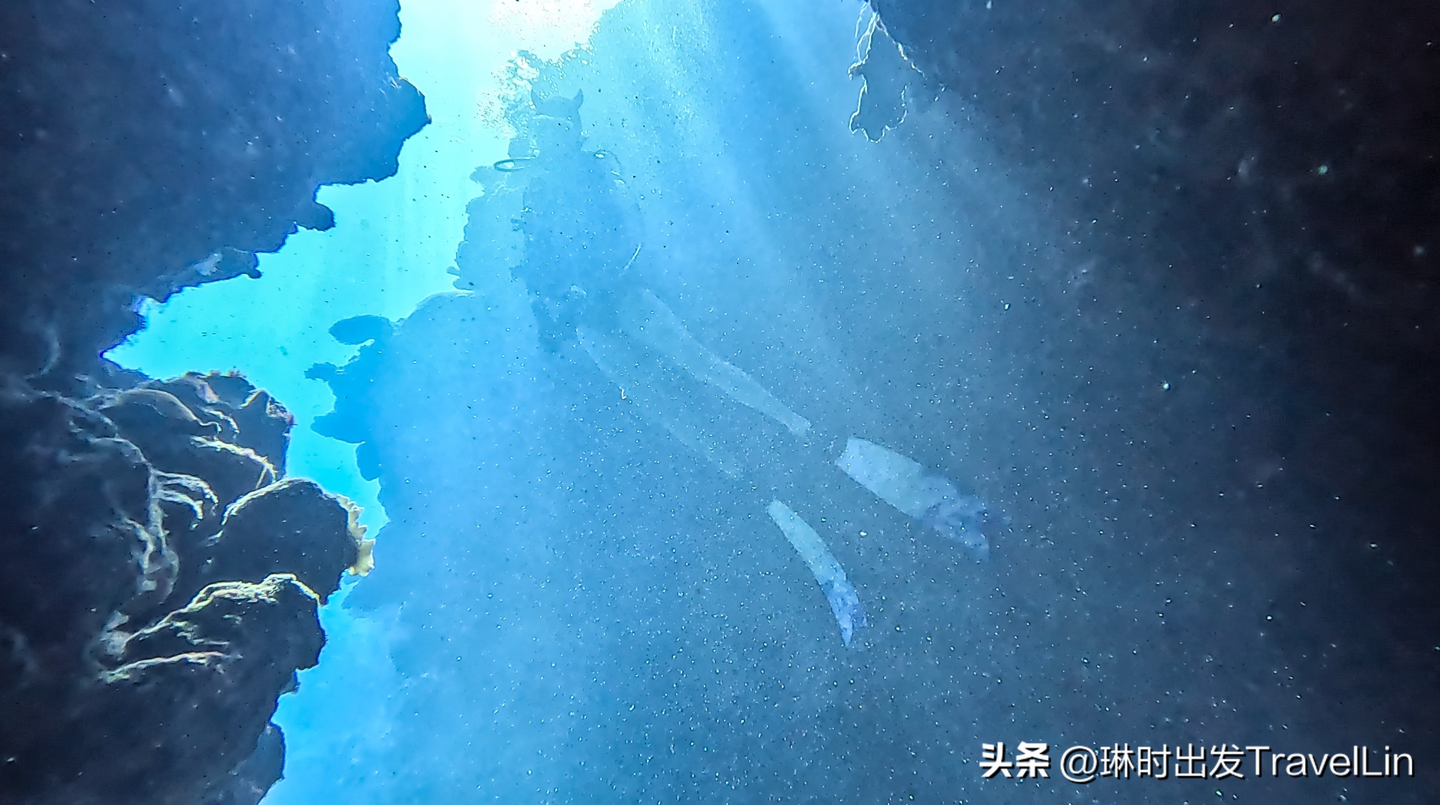 超刺激的海钓视频,超刺激的鲨鱼