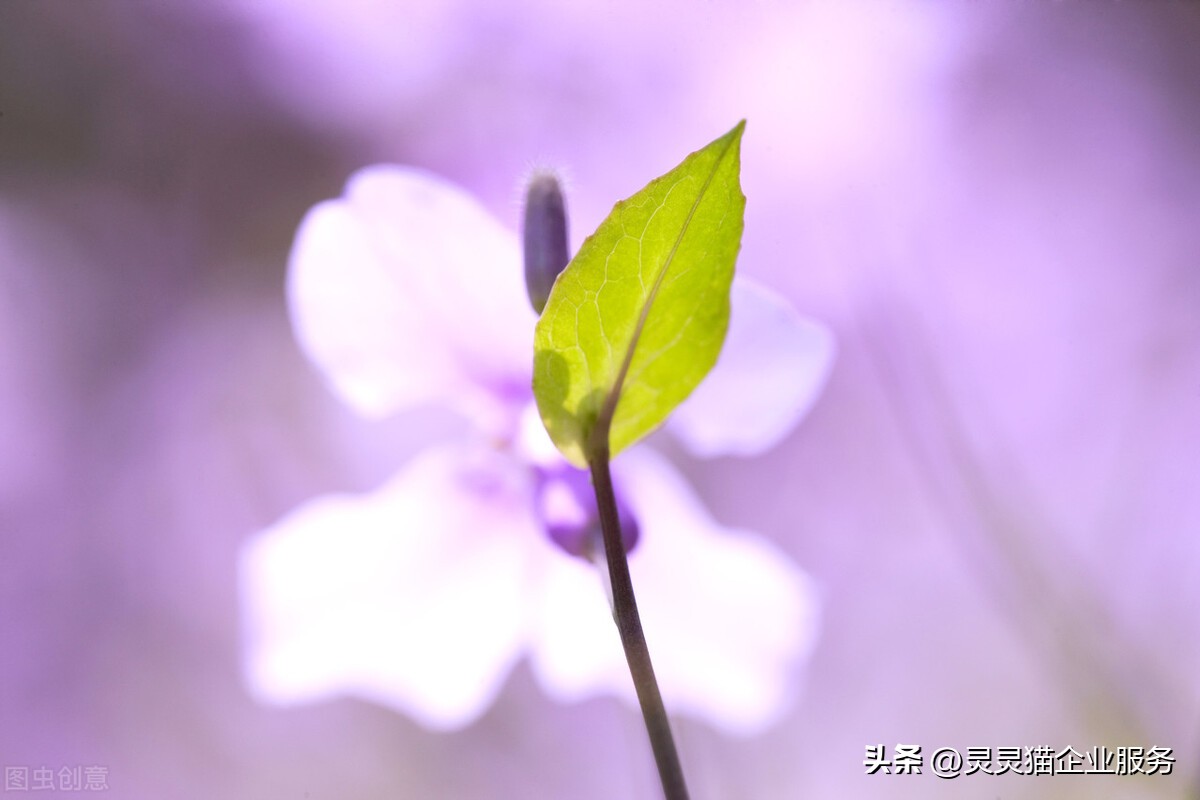 采购取得发票未付款，南京一公司被处罚183747.89元