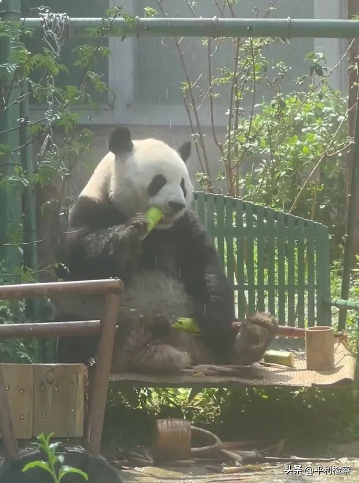 中国—中亚峰会今明两天在西安举行；1-4月陕西与中亚贸易继续保持高速增长→【5月18日周四新闻速览一分钟】