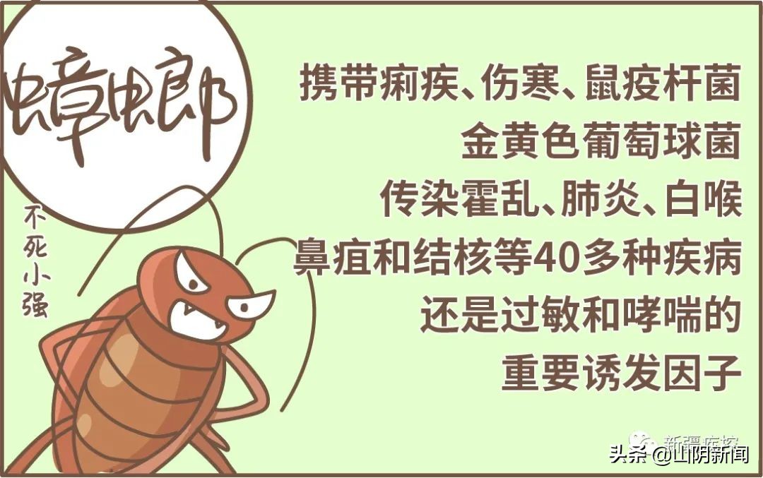 身边常见的动物传染病有哪些,动物之间传播的传染病