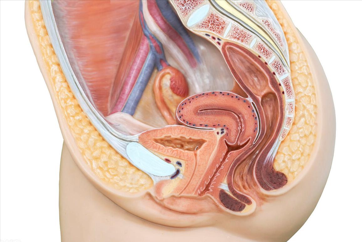 派特灵hpv科普讲堂,派特灵治疗宫颈高危hpv得多少钱