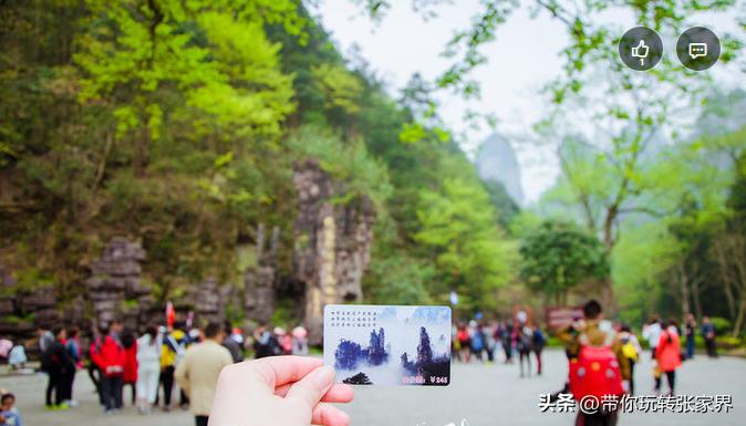 张家界5天4晚旅游攻略和费用明细,张家界旅游攻略和费用五天四晚
