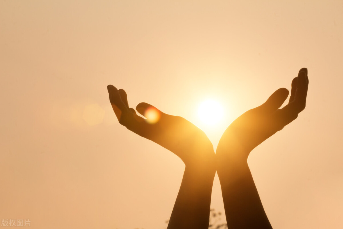 一味中药既补肾又补脾,一味中药专治体虚补肝肾