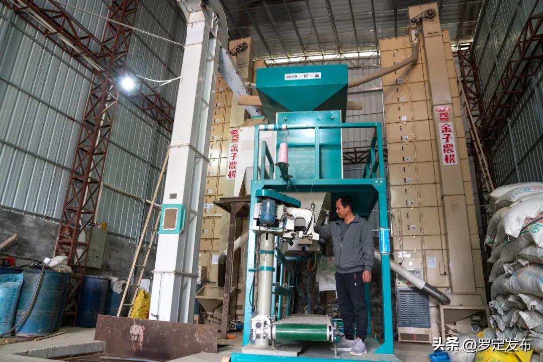 47个家庭农场为乡村振兴注入活力,家庭农场如何做大做强