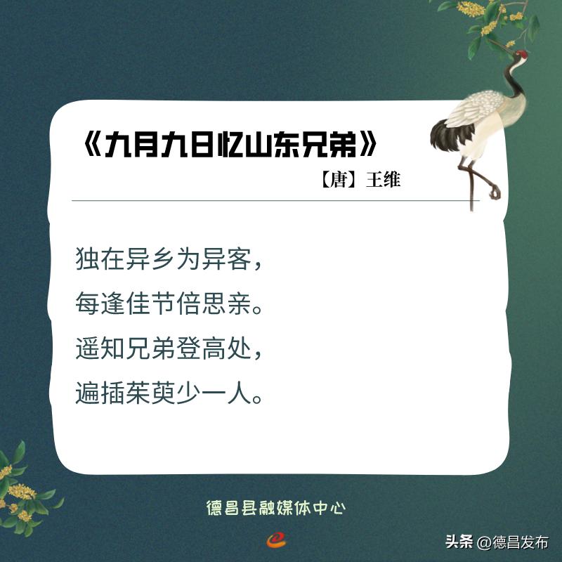 网络中国节·重阳|古诗词里的重阳节习俗​