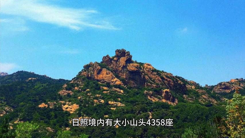 日照的蓝莓产地,山东日照的特色绘画农民画