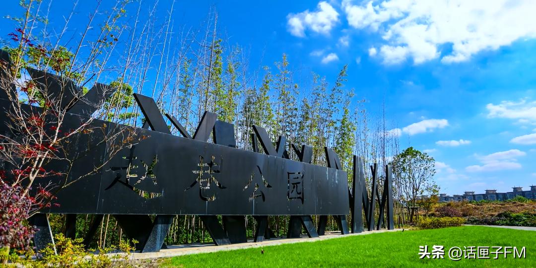 ​“赵”亮梦想，“巷”往成功，6000年崧泽水土之上，数字干线蓄势待发