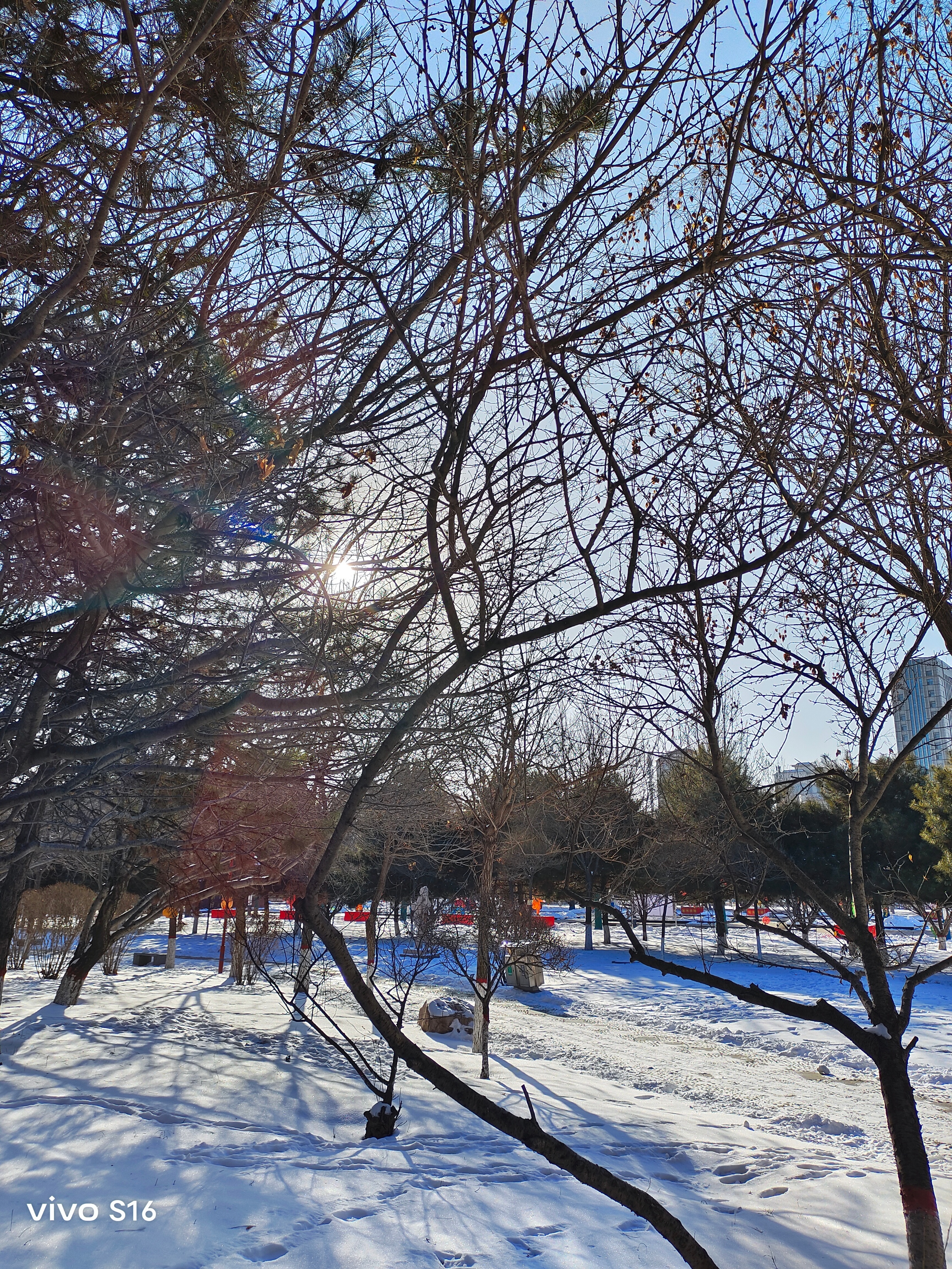 vivos16拍照水平是什么样子,vivos16系列中拍照最好的手机最新