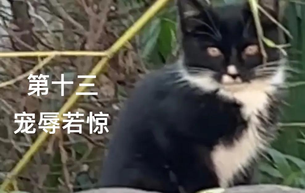 小孩子的睡颜,小儿睡觉的样子