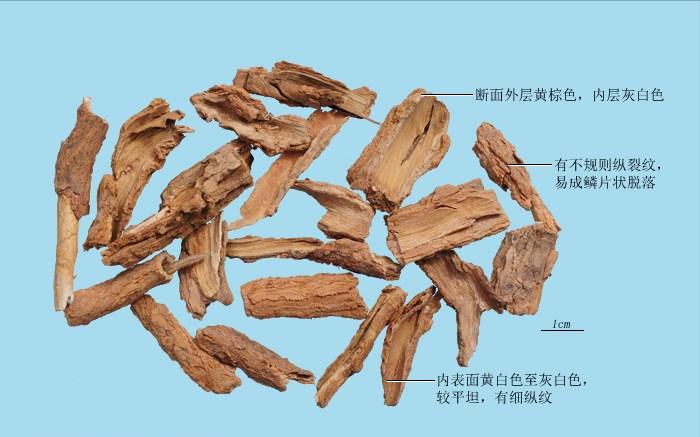 饮食里的中药之枸杞：子，补肝肾益精明目；根，凉血清肺降火