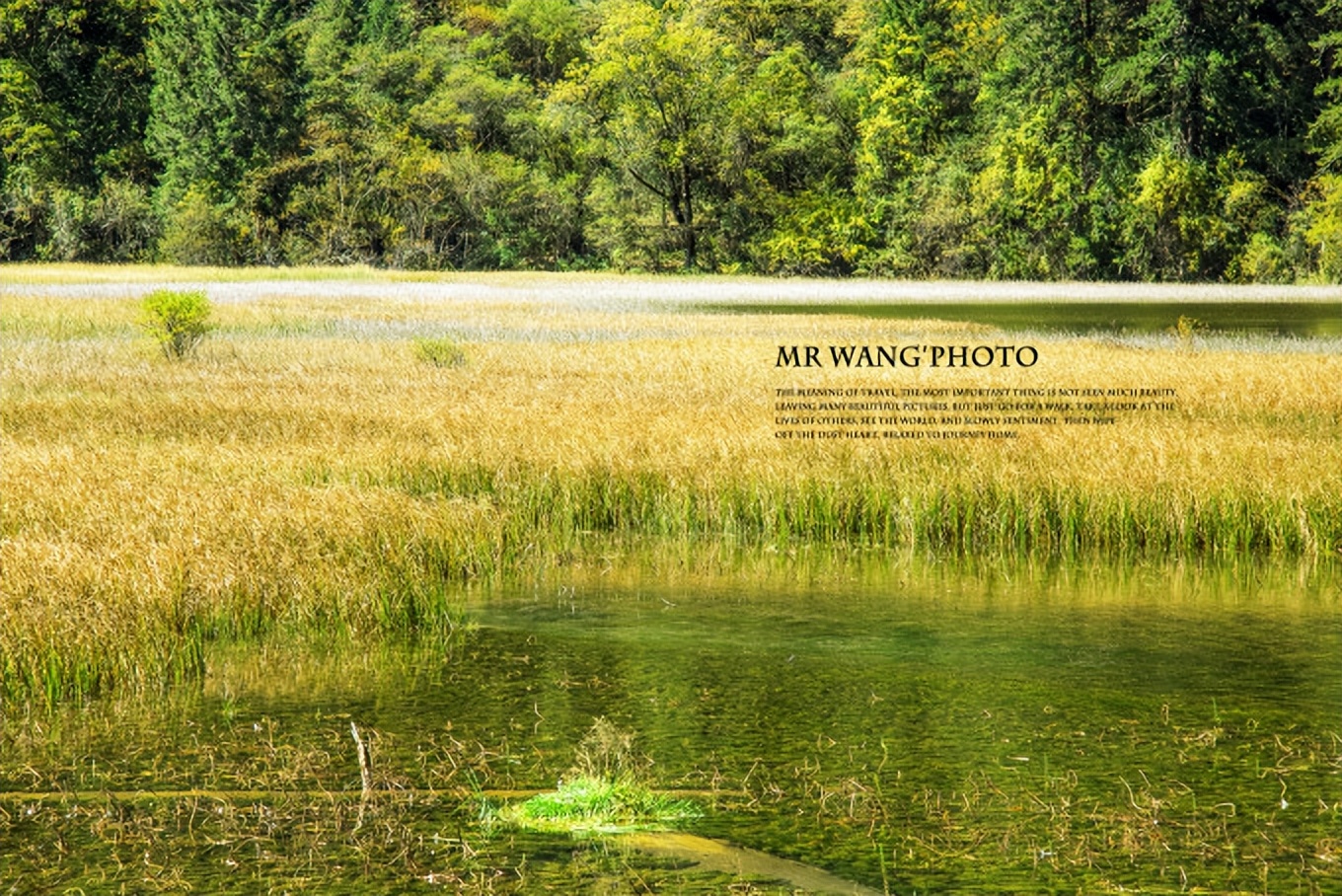 九寨沟旅游攻略路线图最新版,九寨沟旅游必去景区攻略