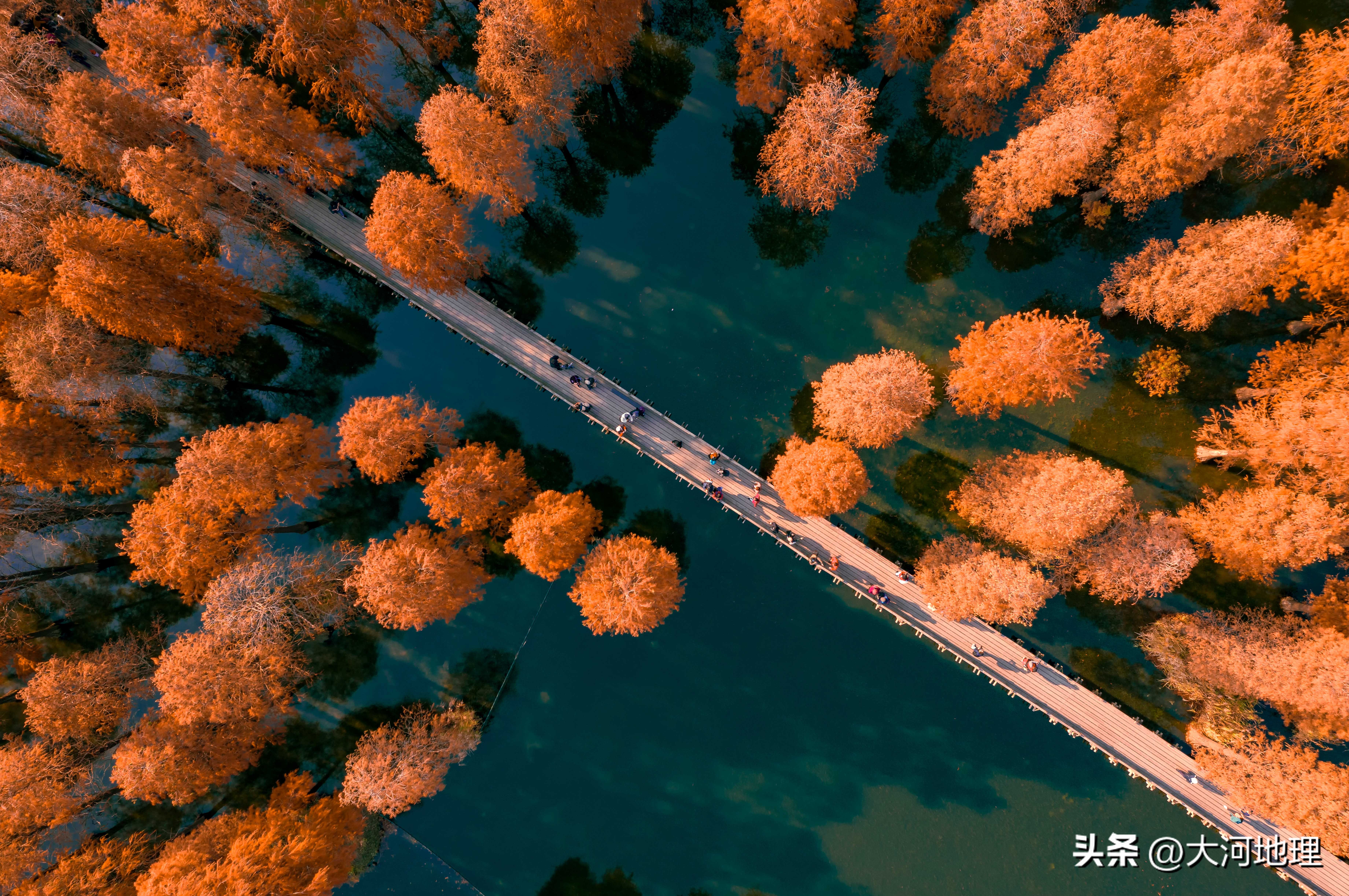 旅游攻略国内十大必去景点南方,中国南方著名景点