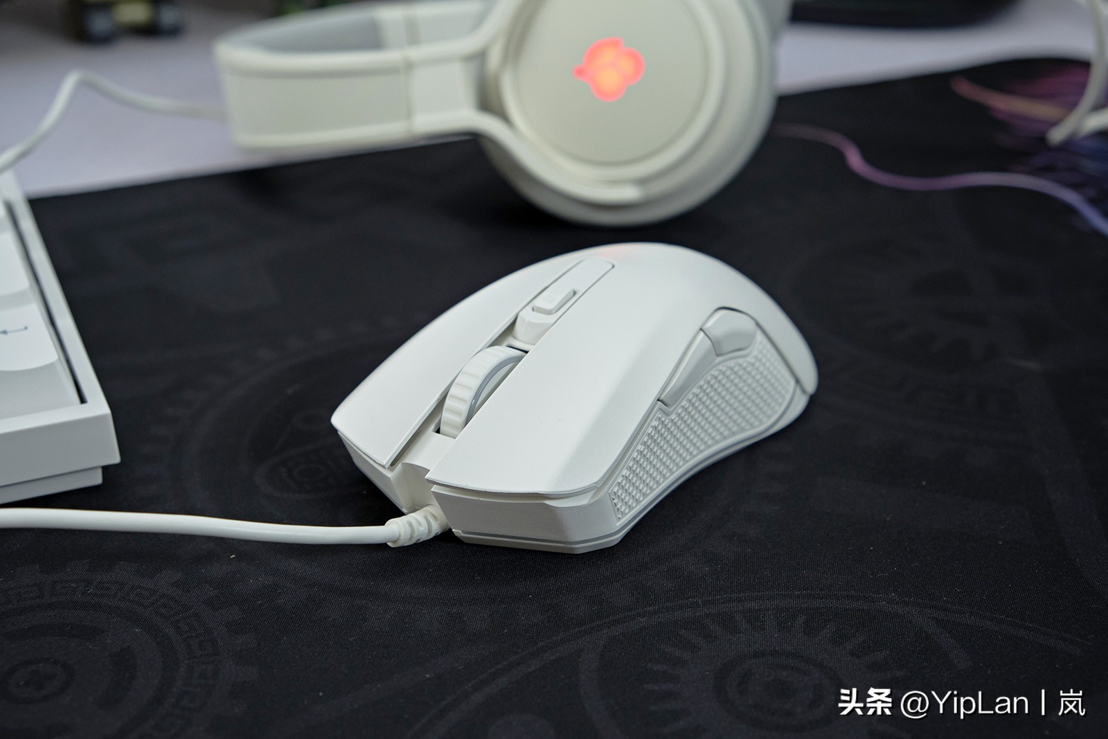 cherry澶栬鎺ㄨ崘,cherry澶栬鍜嬫牱