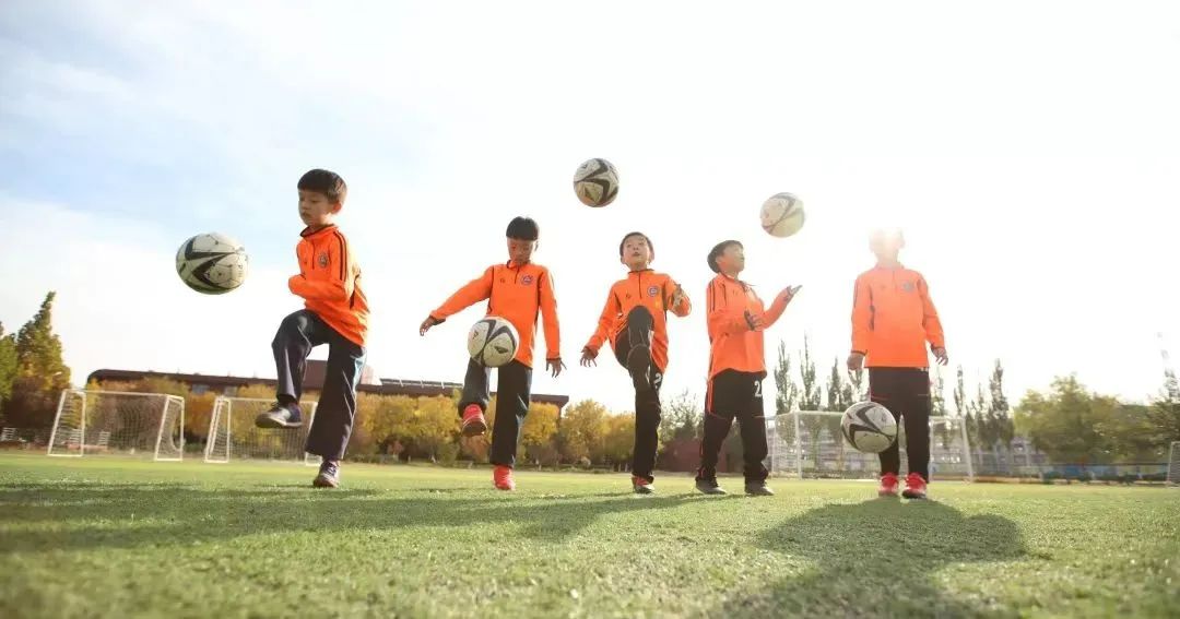 北京基础教育课程建设成果,北京基础教育强基工程