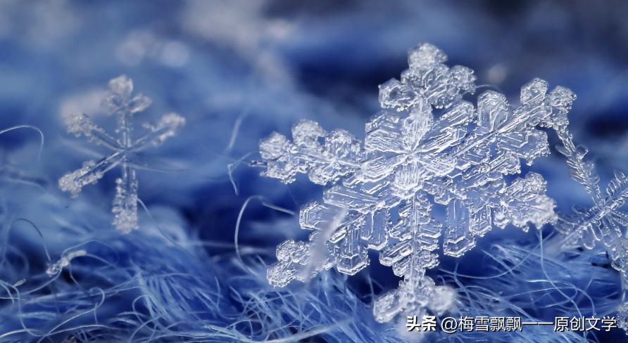 长篇当代军旅小说《军之恋·清冬栀子》（30）