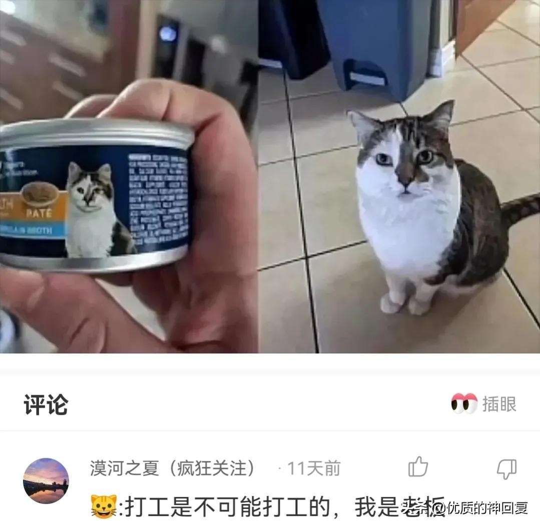 你知道衣服上的字什么意思吗,女生衣服上的字母含义