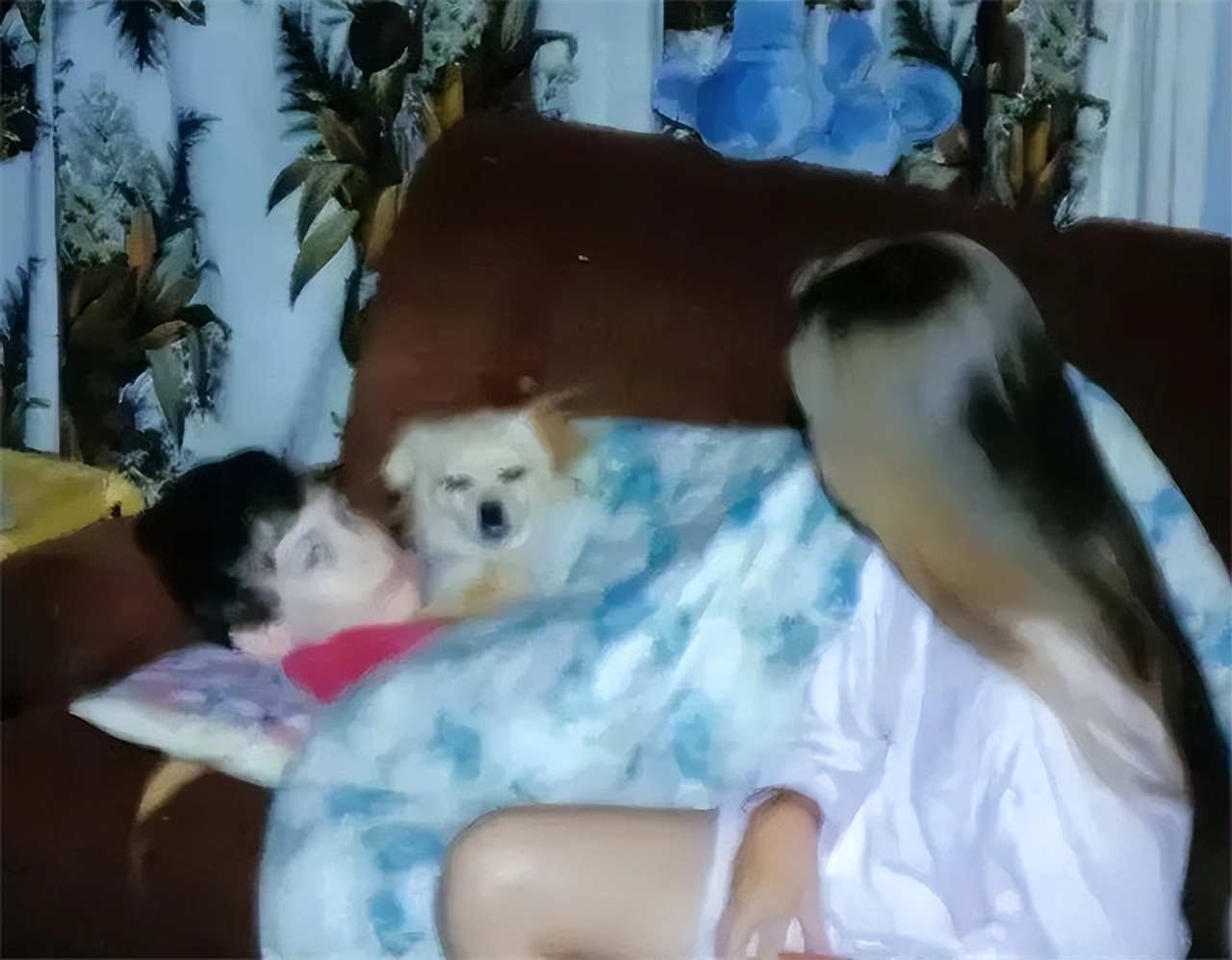 幽灵男孩马丁卧床14年,幽灵男孩马丁患病卧床