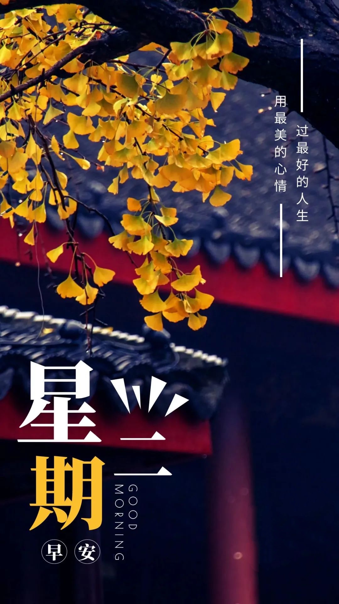 早安语录正能量朋友圈短句子图片,早安心语图片2022