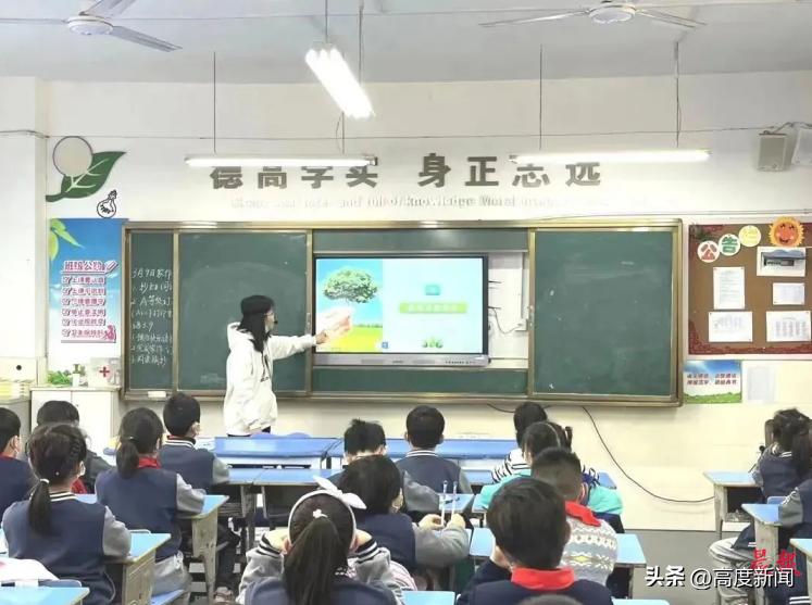 开展植树节主题班会活动,植树绿化美化家园主题班会节目