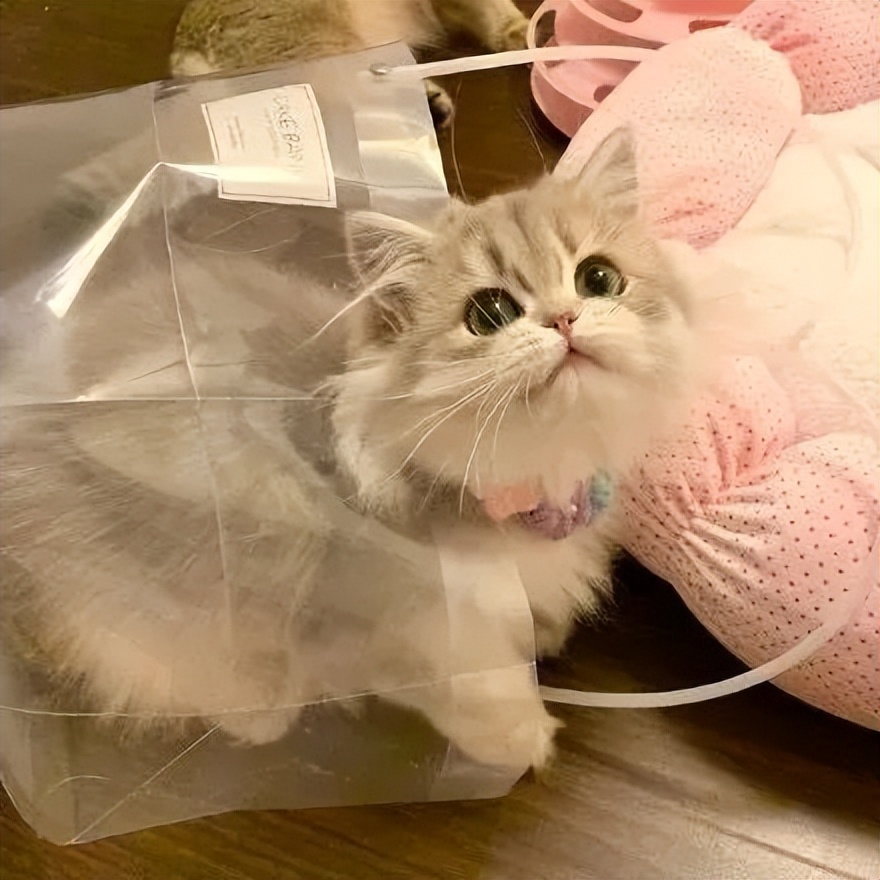 抖音头像动漫男,抖音动漫头像图片