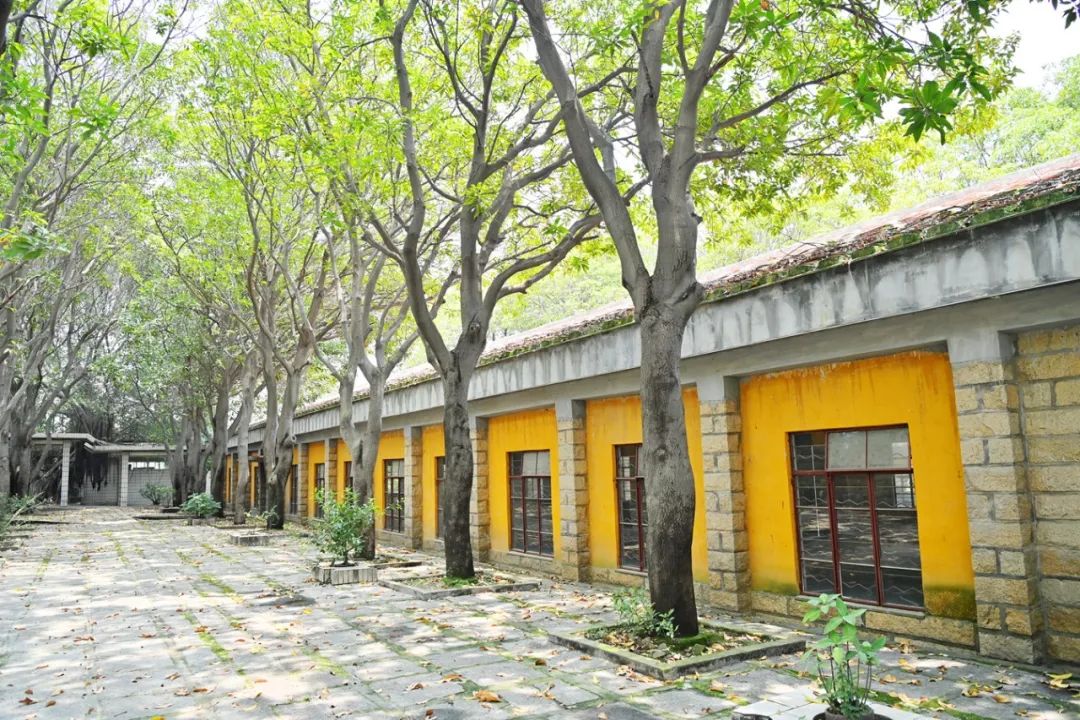 南安记忆|一枝“花”开出满园香！全国首家非公企业*党**组织成立后……