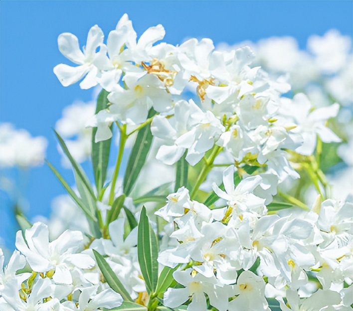 室友关系紧张的说说,关于和室友发生矛盾自顾自的说说