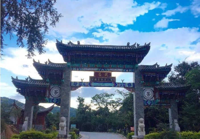 茶叶喝多了是否会便秘,茶叶茶喝多了会便秘吗