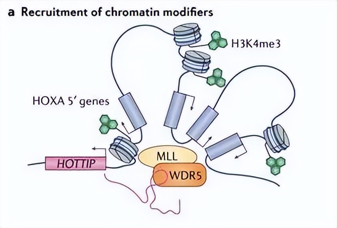 nature最新论文,nature论文最新发现