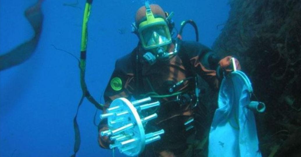 石头填海养海参小伙近况,大连小伙养殖海参