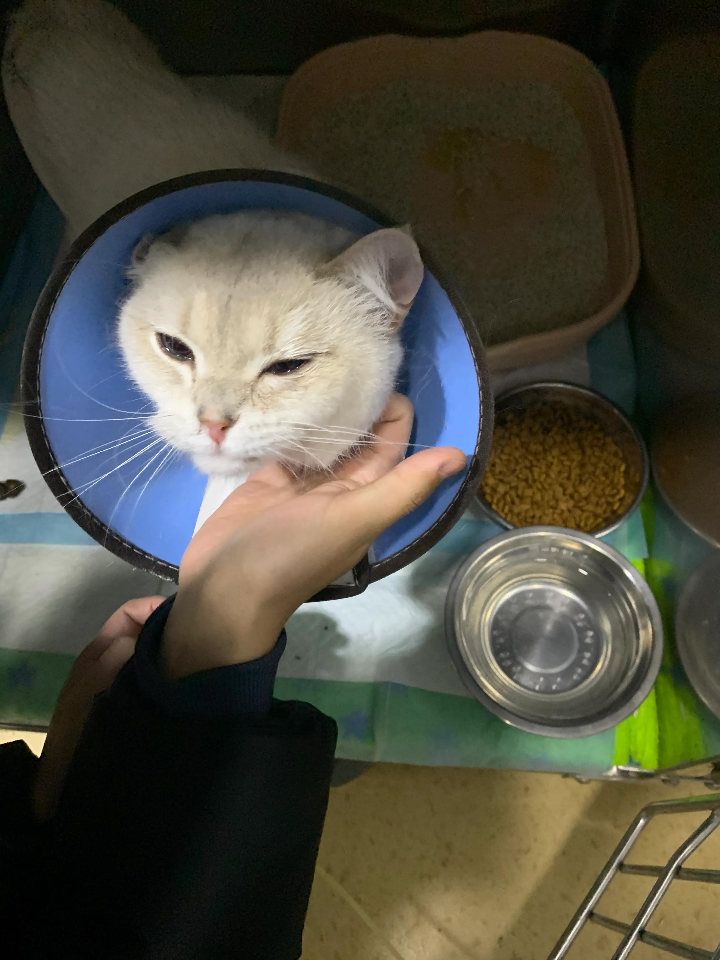 探视我家的小宠——点点