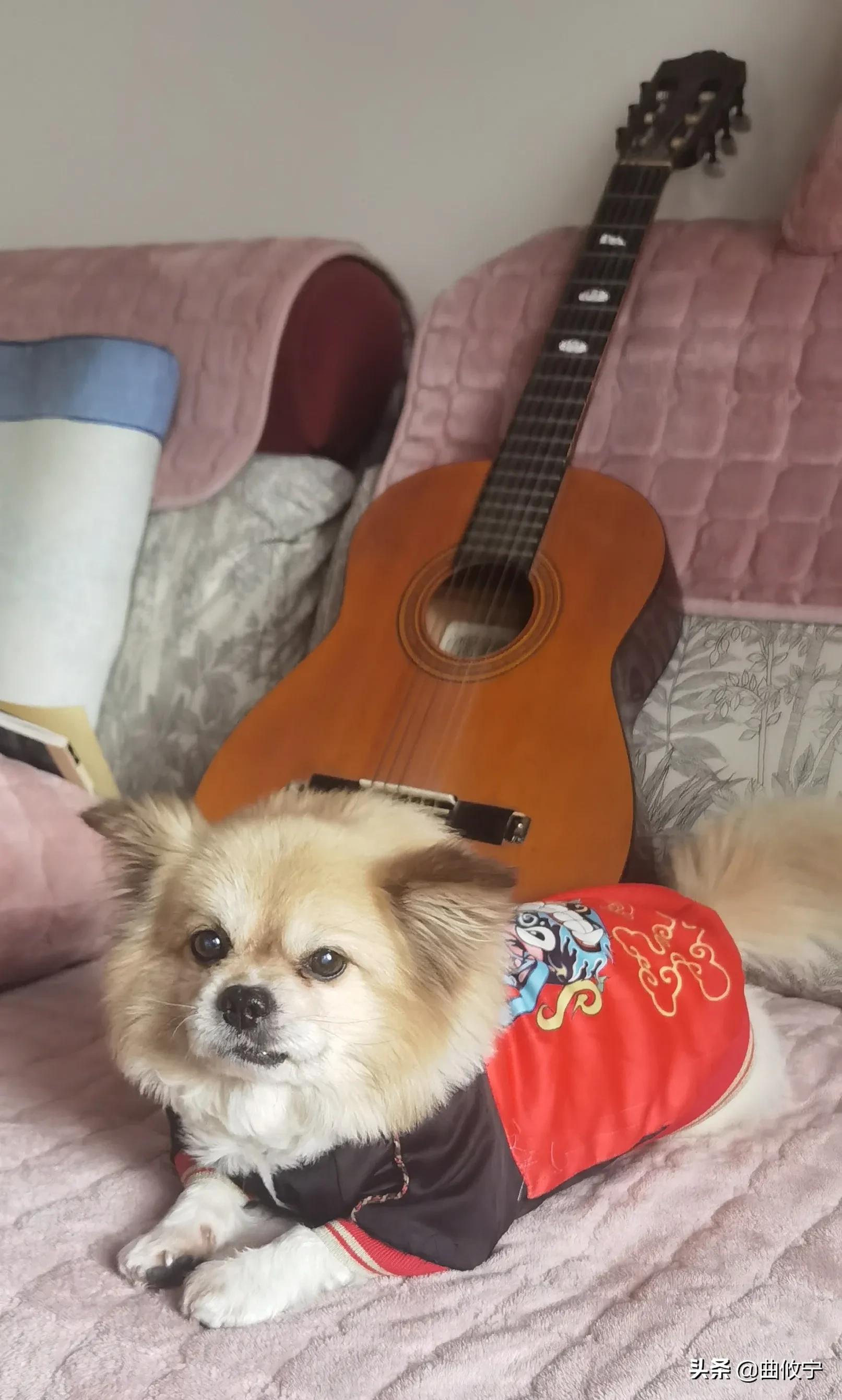 吉他里的烧火棍,说说吉他弹唱完整版教程