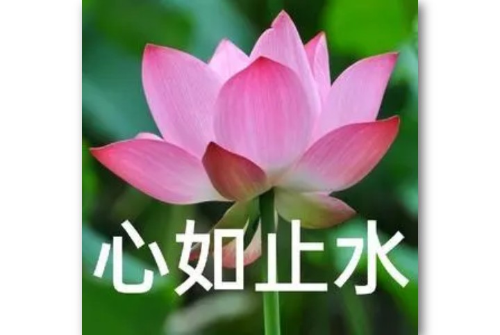 引起聊天欲望的头像,头像真的能引起别人的聊天欲望吗