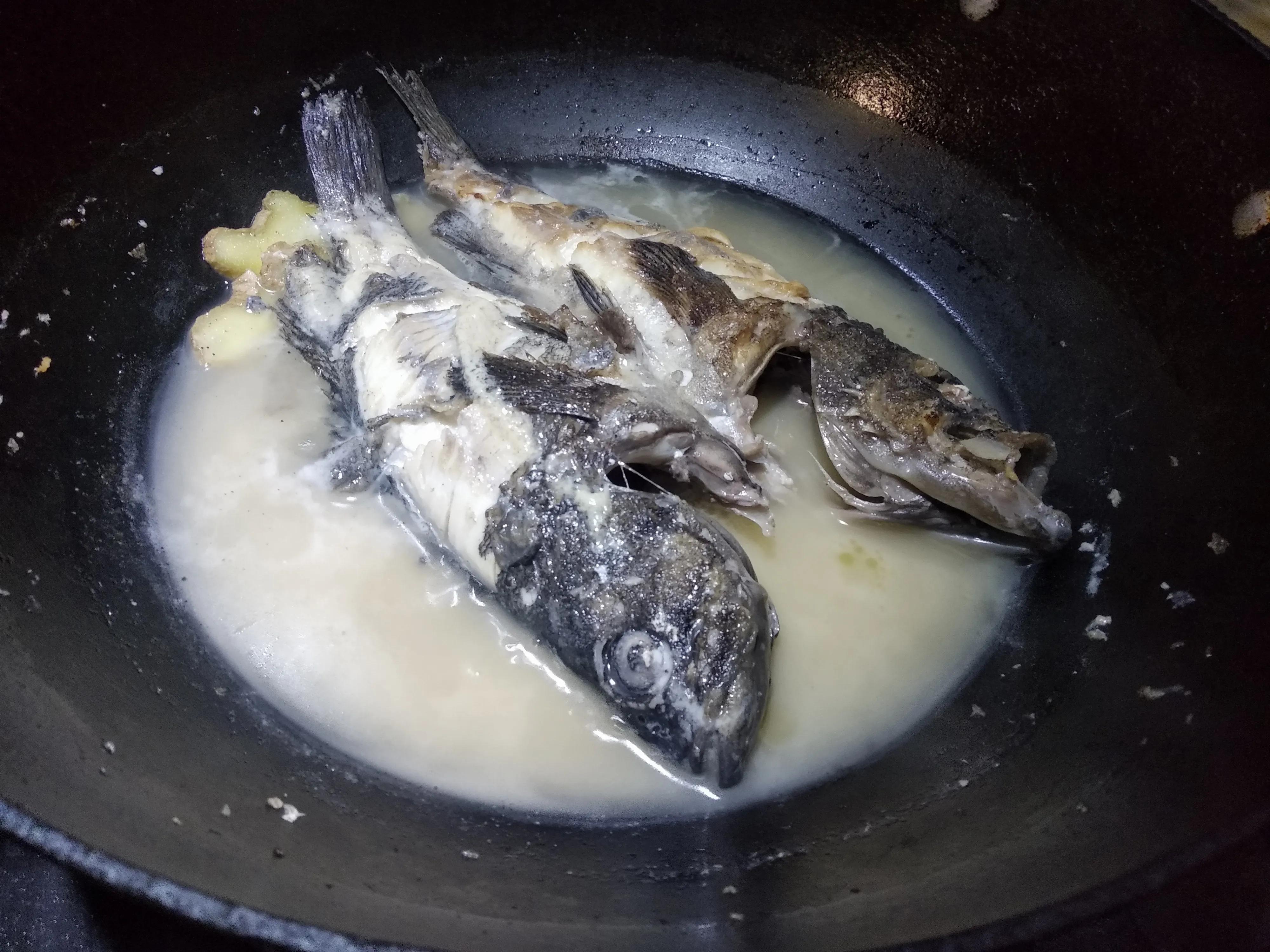 休渔期倒计时10天,休渔期黄花鱼带鱼