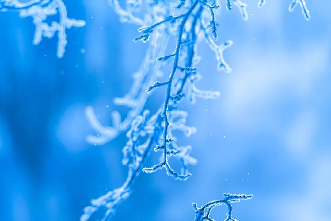 晚来天欲雪能饮一杯无的隶书写法,小雪晚来天欲雪能饮一杯无
