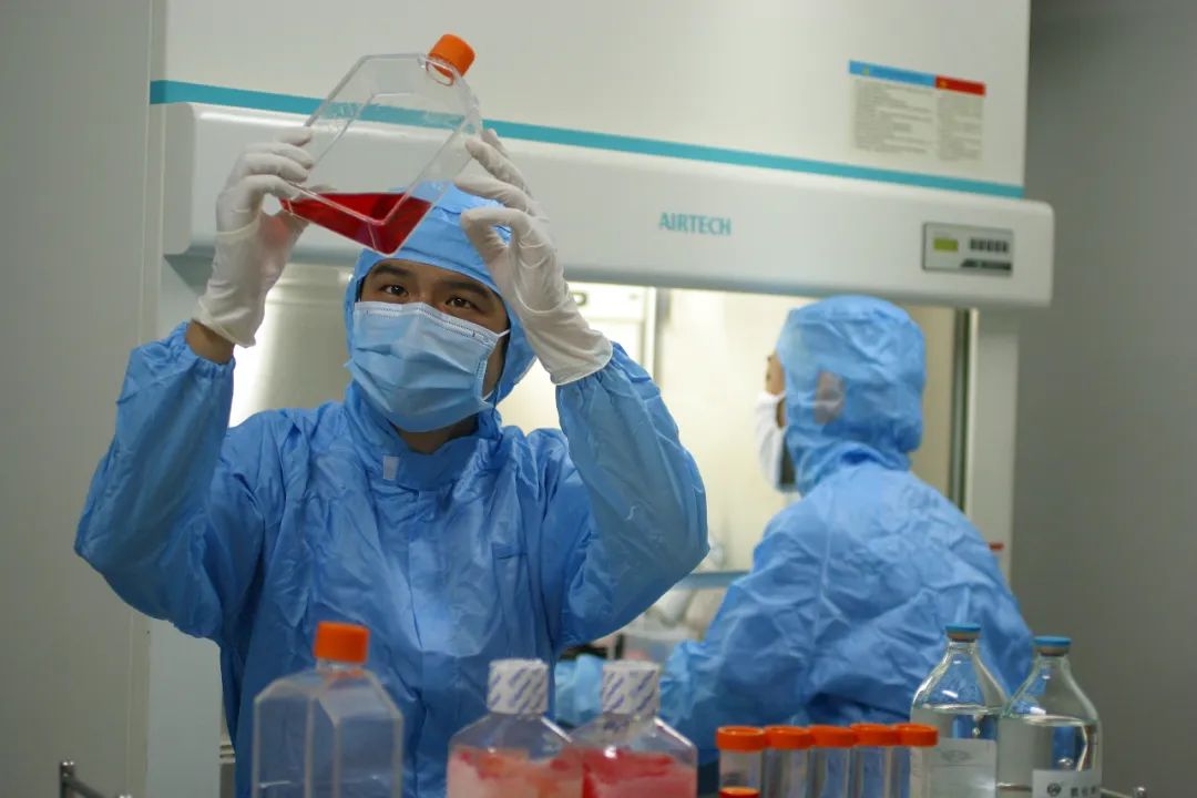 云南高质量跨越式发展,云南创新驱动