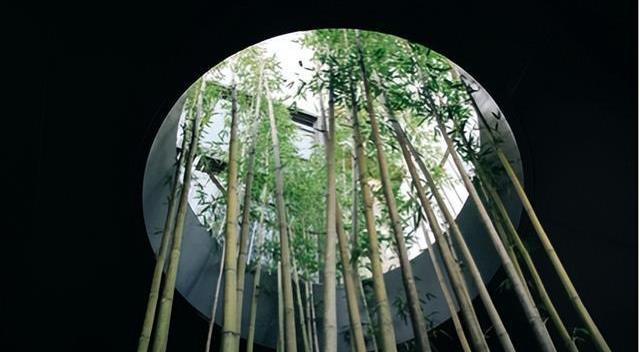 逛美食之都顺德,顺德又可以玩又可以吃的地方