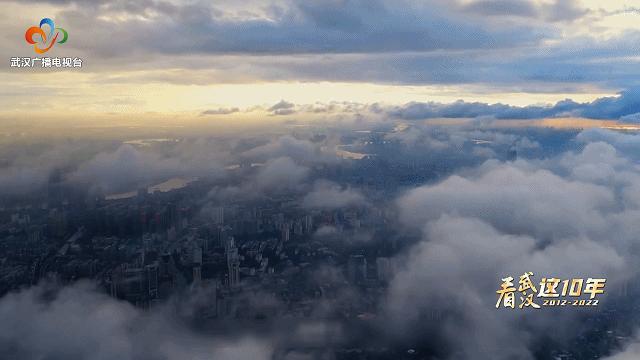 赏花观鸟赏美景,赏花观鸟