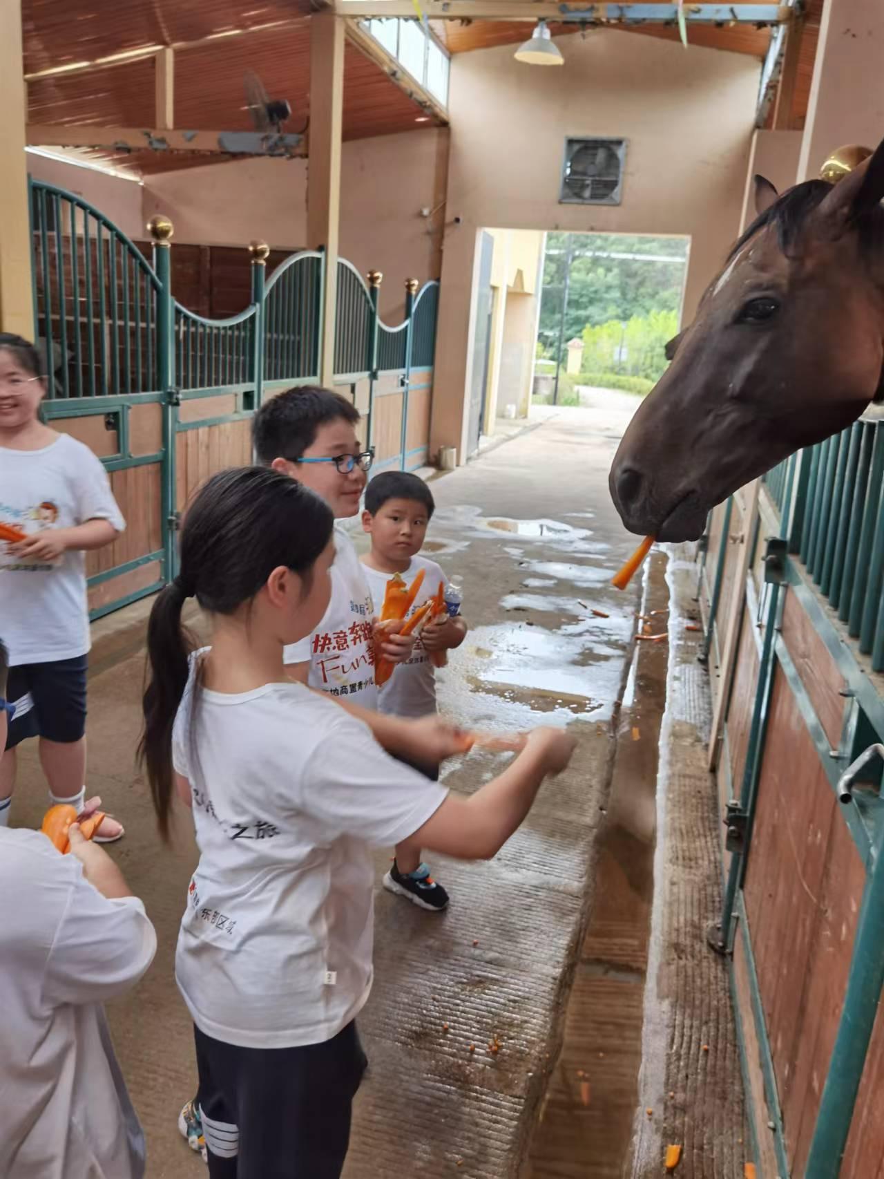 金地商置东部区域有限公司,金地商置东部区域