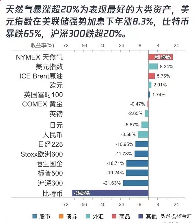 a股跌幅最大股票一览表2024,2022次新股妖股排行榜前十