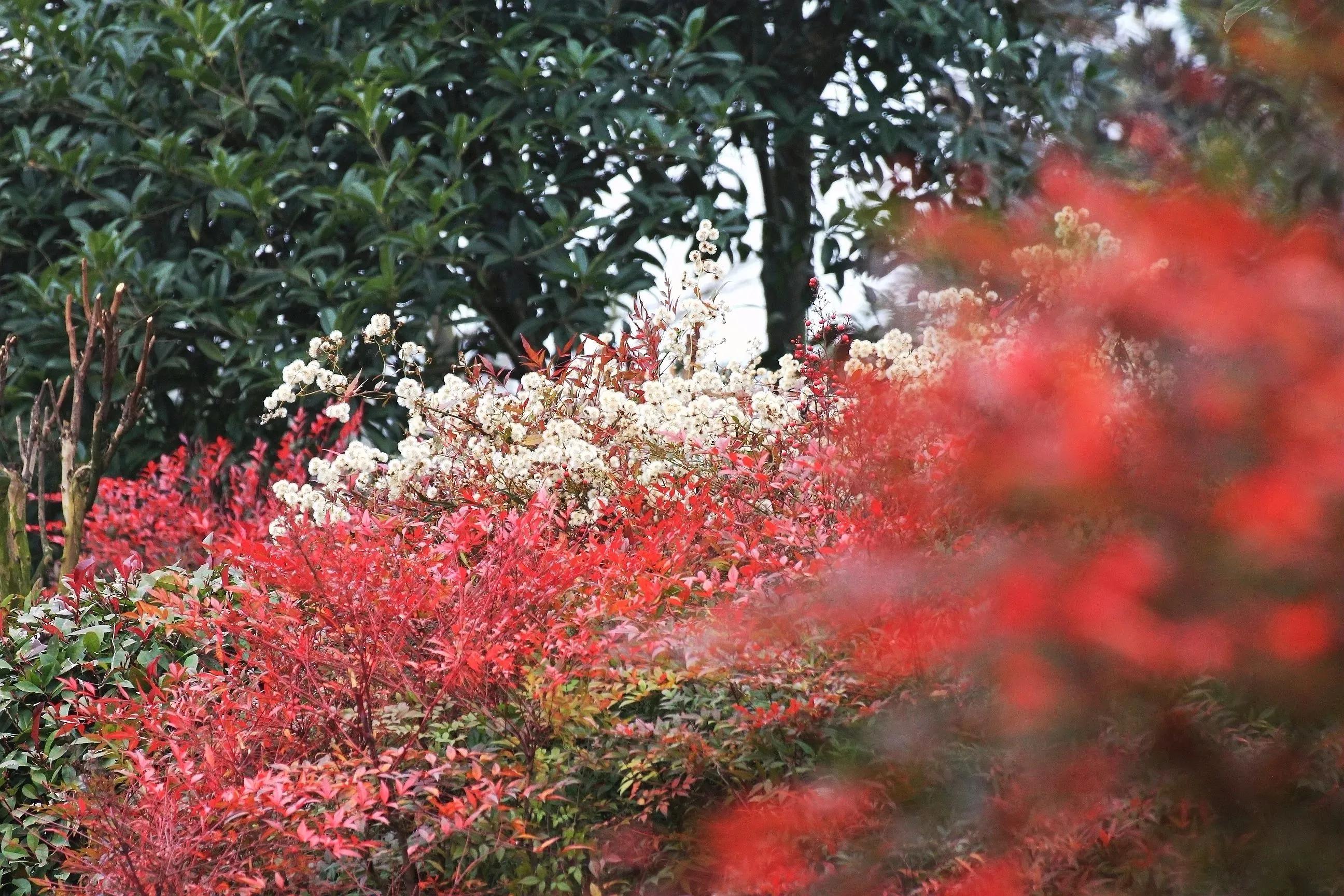 用佳能60d拍照片,新手用佳能600d教程