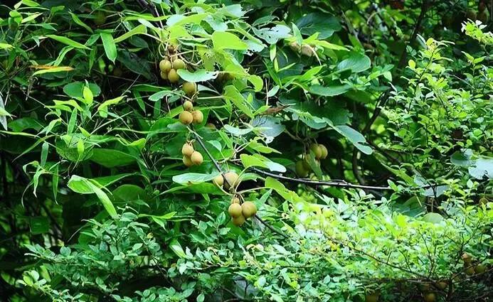 人生苦短生活不易看淡看开,人生不易岁月苦短这就是生活