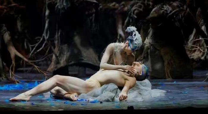 金星最近的舞蹈表演,被金星高度评价的舞蹈