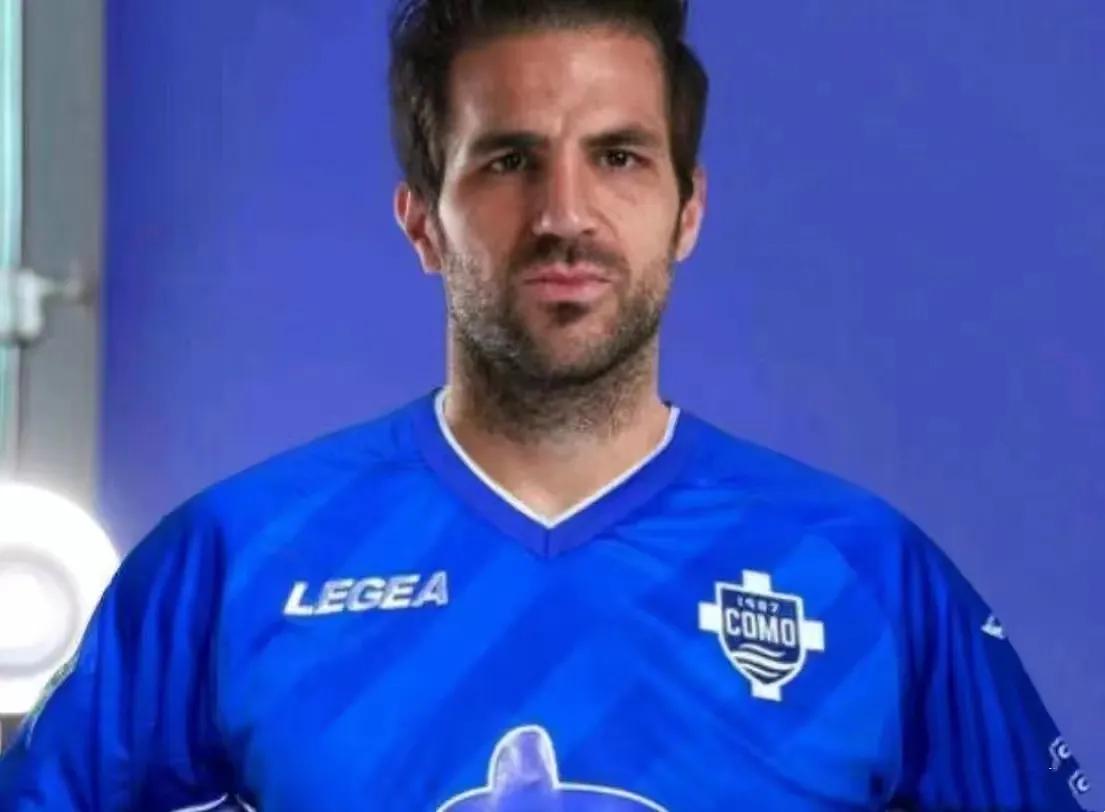 法布雷加斯足球生涯,塞斯克集锦