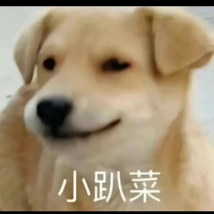 搞笑图片笑得肚子疼大全,搞笑图片