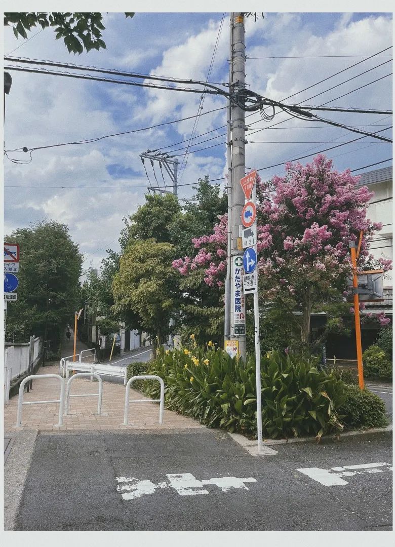 家具日常用品,到日本买什么家居用品