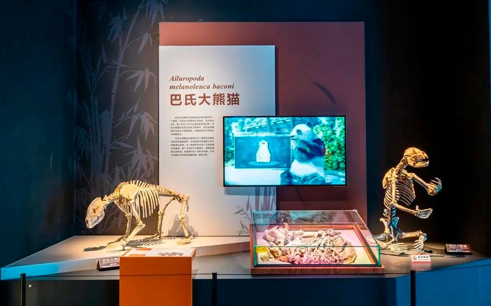 重庆自然资源科普馆有讲解吗,重庆自然资源科普馆一共几个馆