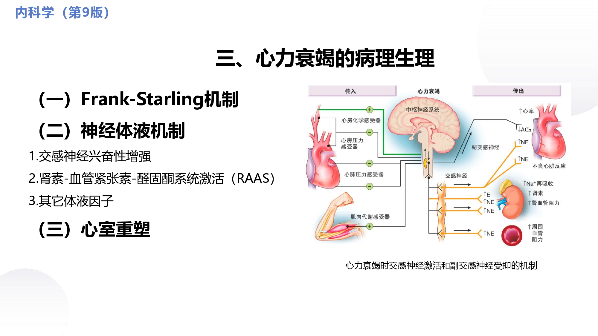 循环系统心脏讲解视频,循环系统心律失常教学视频